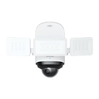 IP Cameras